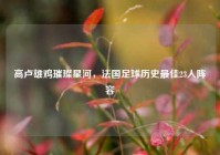 高卢雄鸡璀璨星河，法国足球历史最佳23人阵容
