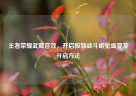 王者荣耀武藏音效，开启极致战斗听觉盛宴及开启方法