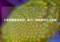 王者荣耀黄金段位，助力一路狂飙的上分英雄