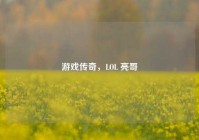 游戏传奇，LOL 亮哥