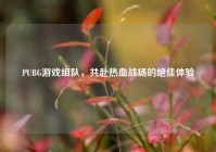 PUBG游戏组队，共赴热血战场的绝佳体验