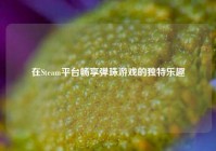 在Steam平台畅享弹珠游戏的独特乐趣