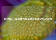 探秘LOL，诡异峡谷中英雄左右移动抖动现象