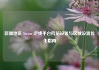 新疆地区 Steam 游戏平台网络设置与区域设置优化指南