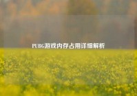 PUBG游戏内存占用详细解析