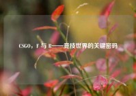 CSGO，F 与 R——竞技世界的关键密码