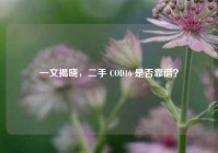 一文揭晓，二手 COD16 是否靠谱？