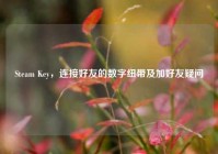 Steam Key，连接好友的数字纽带及加好友疑问