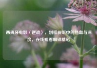 西班牙电影〈逆战〉，别样视听中的热血与深度，在线观看解锁精彩
