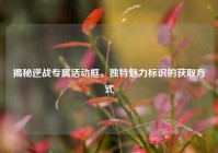 揭秘逆战专属活动框，独特魅力标识的获取方式