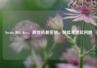 Steam DLC Key，游戏拓展密钥、风险及退款问题