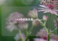 CSGO中的复仇者，Avenger