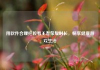 用软件合理把控看王者荣耀时长，畅享健康游戏生活