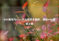 WWE离线与Steam平台游戏全解析，体验WWE激情之旅