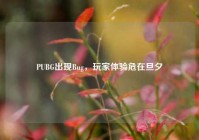 PUBG出现Bug，玩家体验危在旦夕