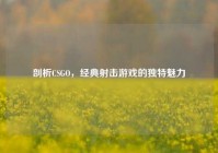 剖析CSGO，经典射击游戏的独特魅力