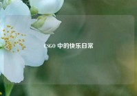 CSGO 中的快乐日常