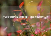王者荣耀帅气英雄排行榜，谁是你心中的Top1？