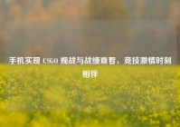 手机实现 CSGO 观战与战绩查看，竞技激情时刻相伴