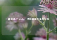 香奈儿CF Jumbo，经典奢华的永恒符号