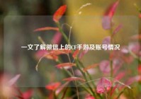 一文了解微信上的CF手游及账号情况