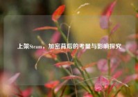 上架Steam，加密背后的考量与影响探究