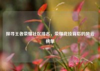 探寻王者荣耀社区排名，荣耀竞技背后的风云榜单