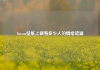 Steam壁纸上藏着多少人的情绪暗涌