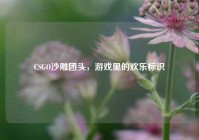 CSGO沙雕团头，游戏里的欢乐标识