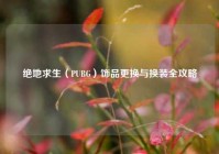 绝地求生（PUBG）饰品更换与换装全攻略