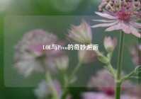 LOL与Peco的奇妙邂逅