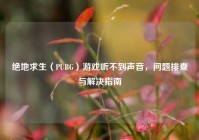 绝地求生（PUBG）游戏听不到声音，问题排查与解决指南