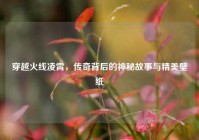 穿越火线凌霄，传奇背后的神秘故事与精美壁纸