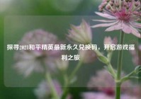 探寻2021和平精英最新永久兑换码，开启游戏福利之旅