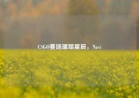 CSGO赛场璀璨星辰，Navi