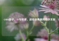 CSGO茄子、YY与弟弟，游戏世界里的奇妙关联