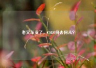 老叉车没了，CSGO何去何从？