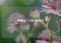 探秘BD、CF及CD的含义