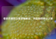 看软件里的王者荣耀解说，开启别样峡谷之旅