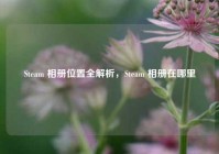 Steam 相册位置全解析，Steam 相册在哪里
