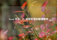 Steam 平台，PC 游戏世界的璀璨明珠