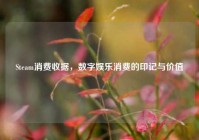 Steam消费收据，数字娱乐消费的印记与价值