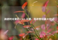 消逝时光里的 CSGO 主播，探寻曾经最火印记