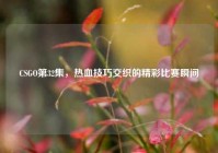 CSGO第32集，热血技巧交织的精彩比赛瞬间