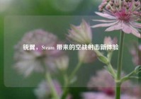 铳翼，Steam 带来的空战射击新体验
