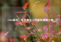 CSGO蓝羽，电竞舞台上的蓝色璀璨之星