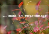 Steam 移除邮箱，操作、风险及应对策略全解析