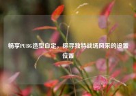 畅享PUBG造型自定，探寻独特战场风采的设置位置