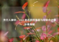 外行人眼中，CSGO 射击游戏盛宴与中级会计师形象探秘