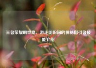 王者荣耀明世隐，游走阴阳间的神秘指引者技能介绍